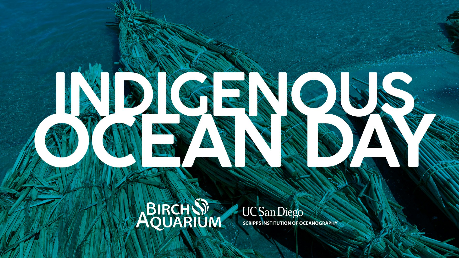 Birch Aquarium Embodied Pacific Ocean Unseen Indigenous Ocean Day 1920x1080