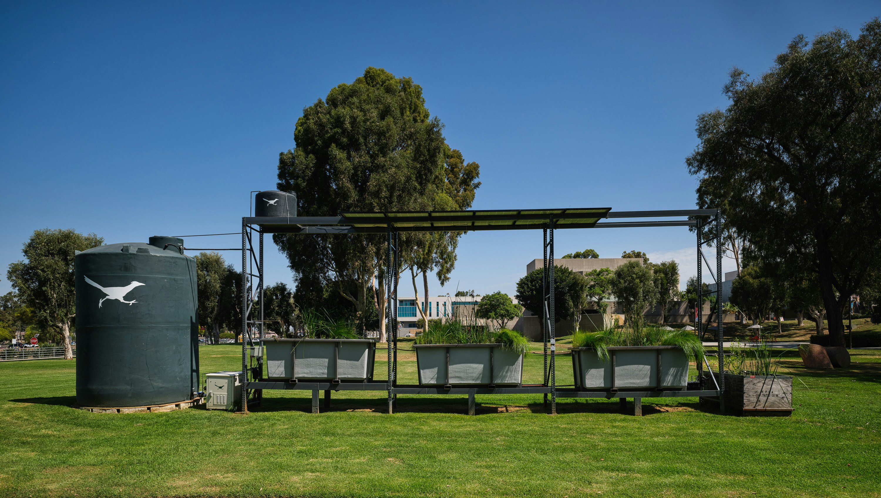 CSUDH 08 08 240565
