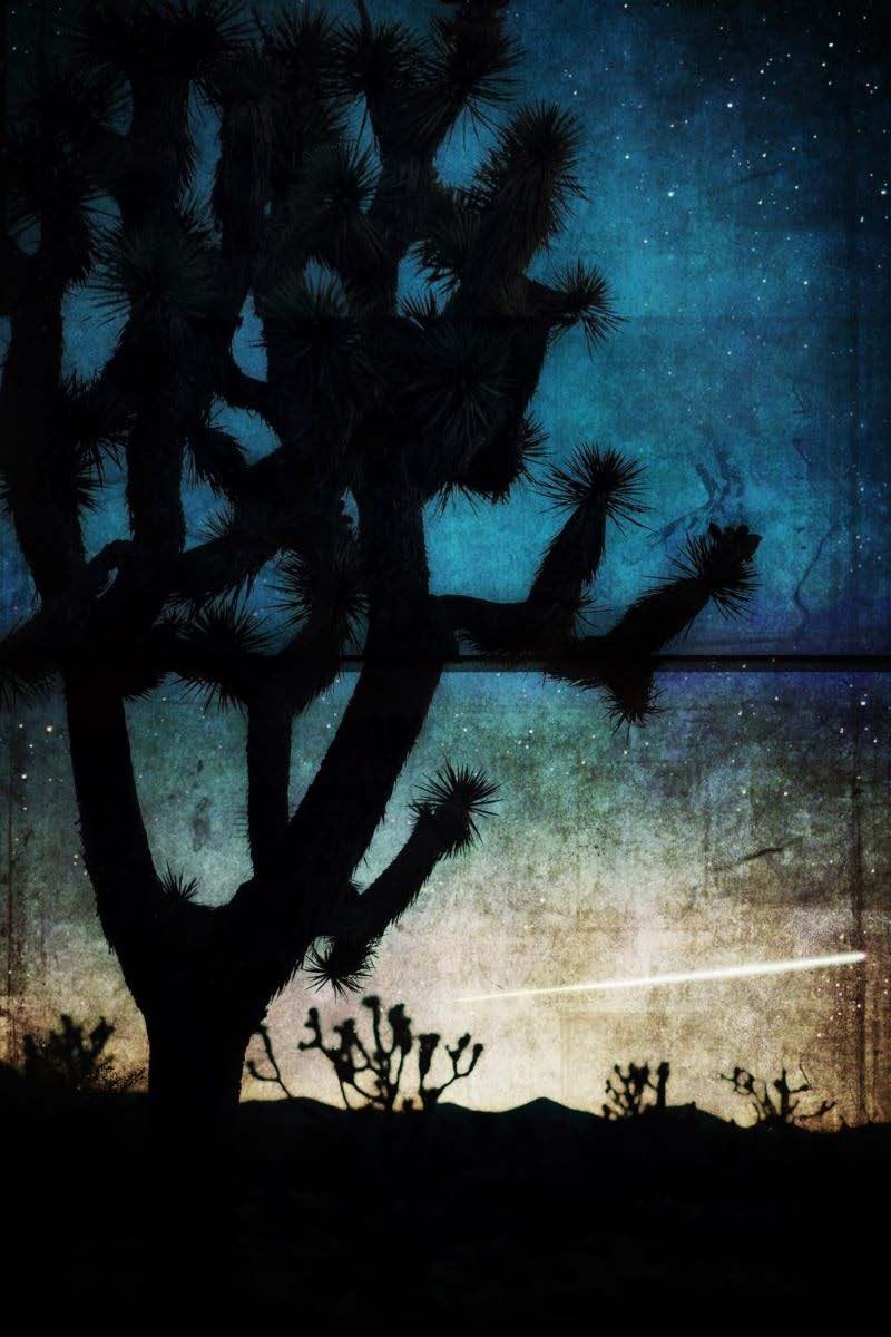 Cara Romero For the Cahuilla Boys