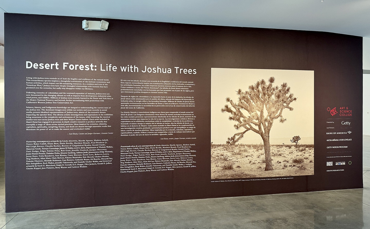 Desert Forest Title Wall