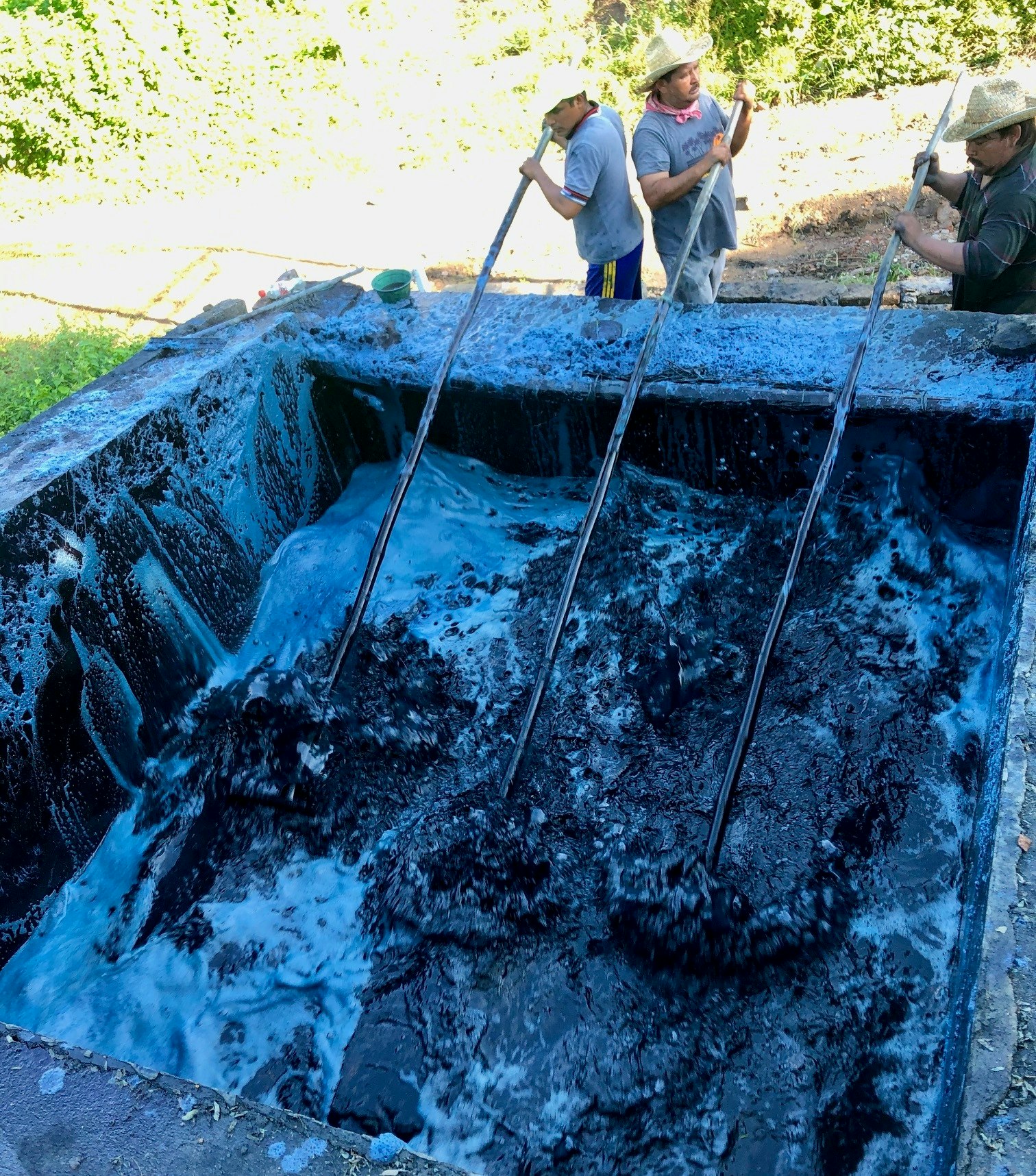 Indigo Farmers