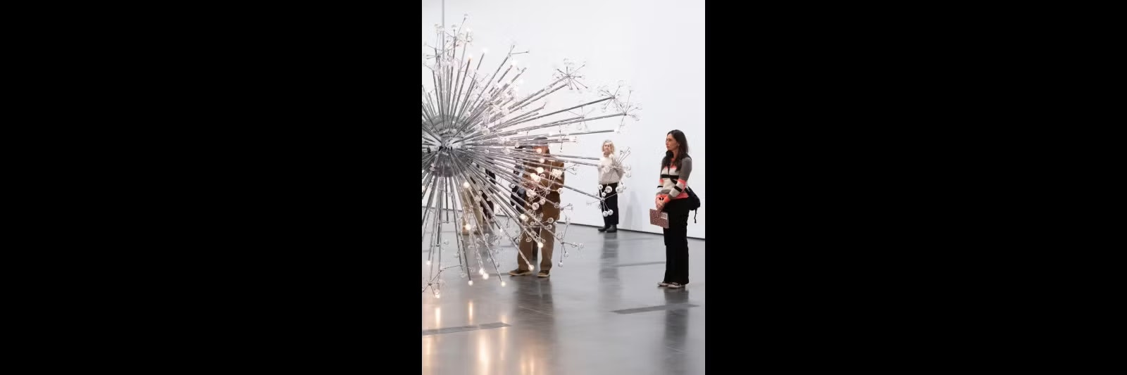 Mc Ehlney Gallery header FY25