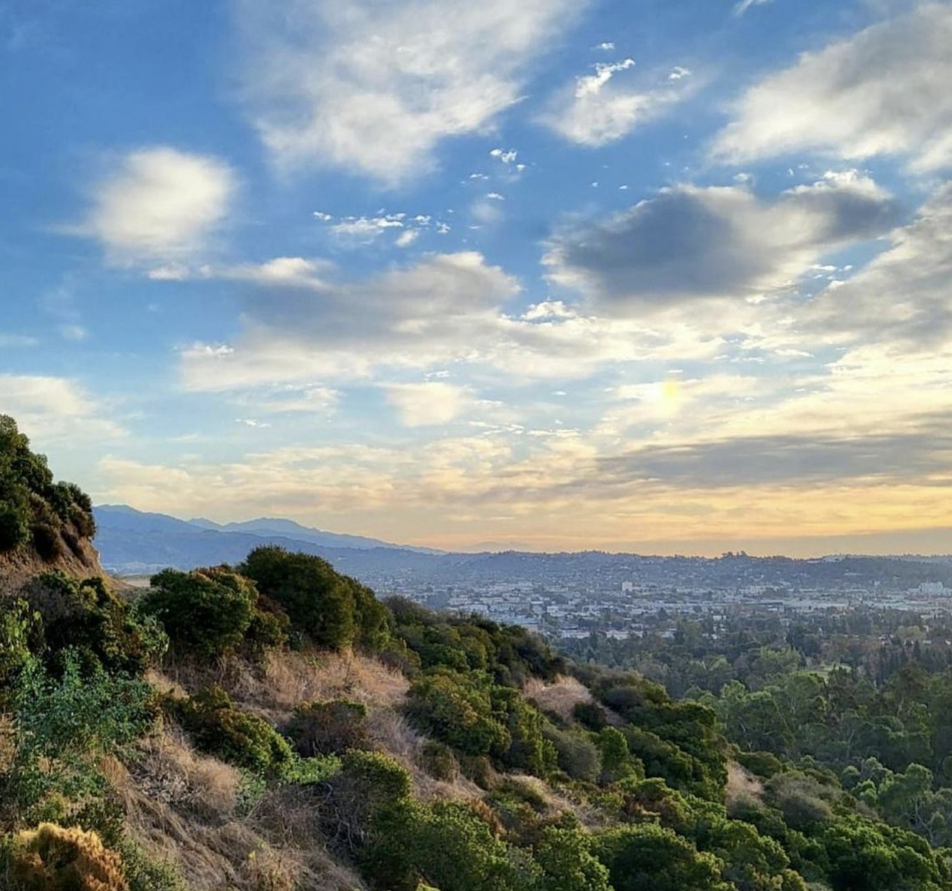 Views from Griffith Park. @friendsofgriffithpark