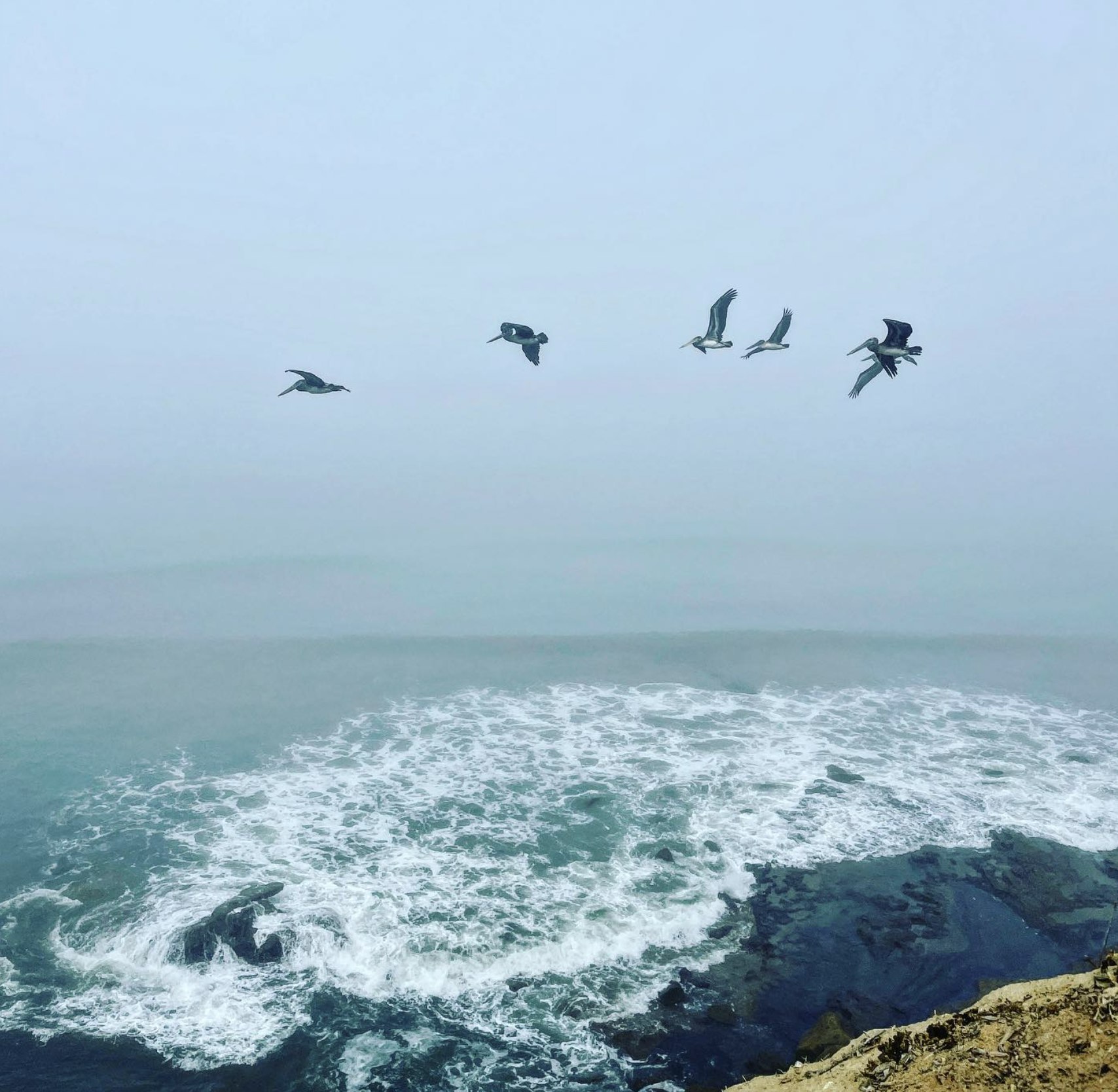 Sunset Cliffs Natural Park. @sd.mom.shutterbug