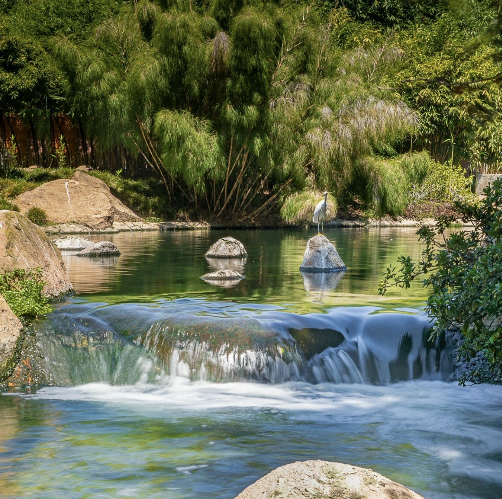 The Japanese Garden. @japanesegardenla