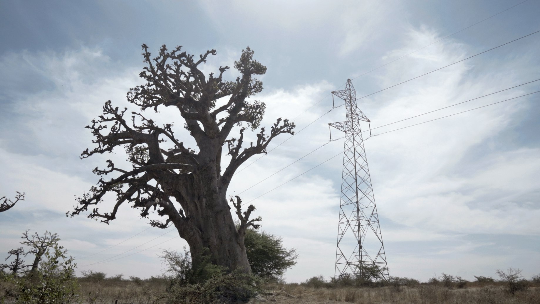 Still from AI African Intelligence 2022 directed by Manthia Diawara 2 3 1