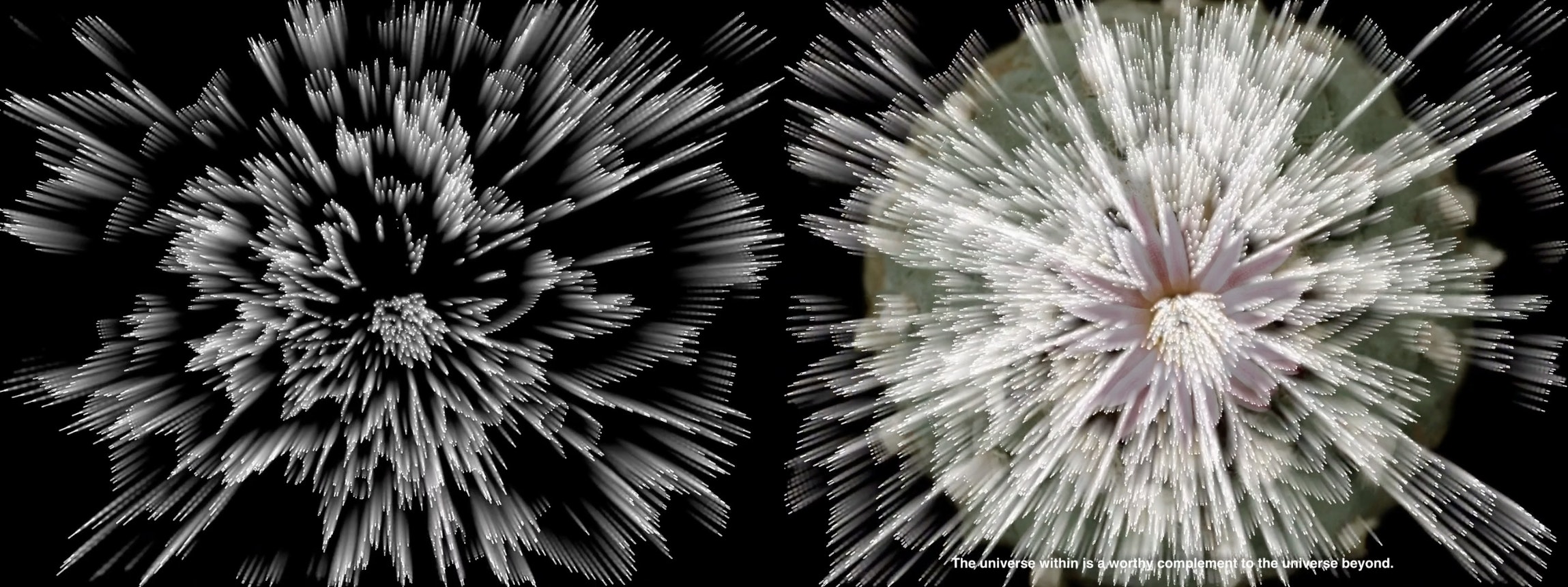 "Preludio Cuántico (Quantum Prelude)," 2022, Tania Candiani. Video still. Courtesy of the artist.