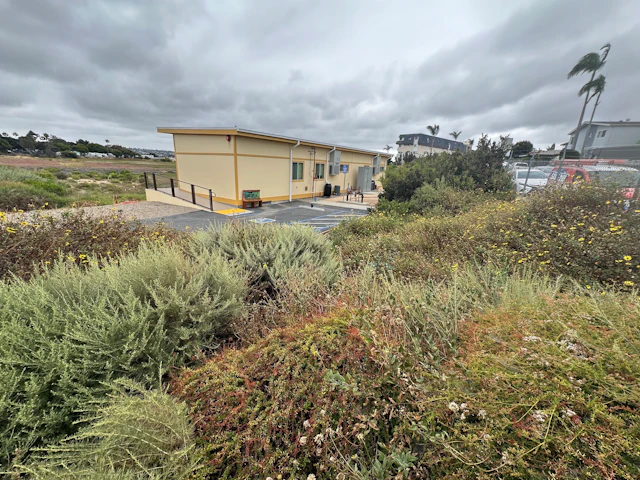 UC Kendall Frost Marsh Reserve 1