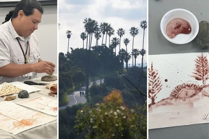 Elysian day feb 8 1500x1000 1 720