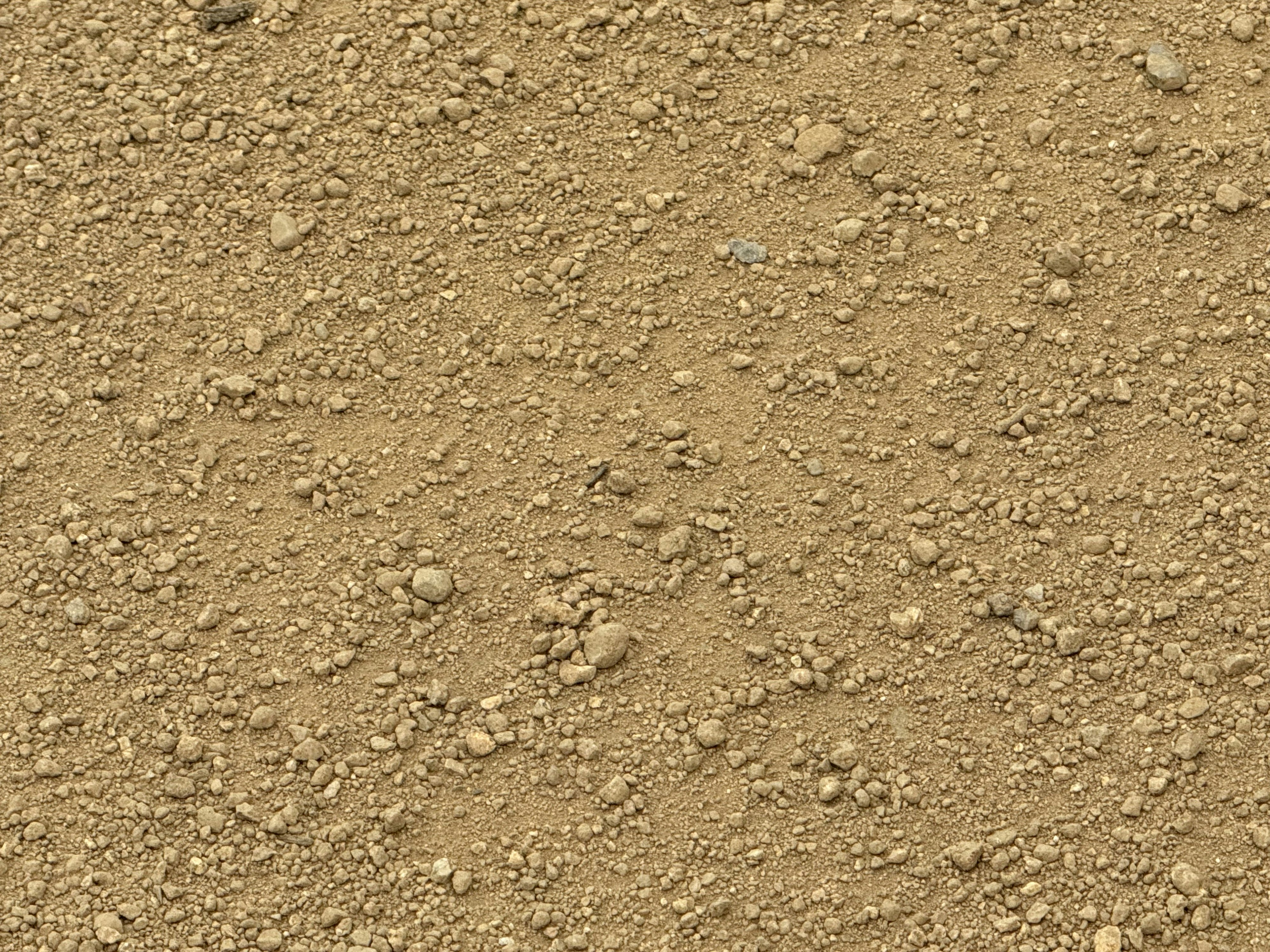 "Earth Skin," 2024, Lita Albuquerque. Decomposed granite.