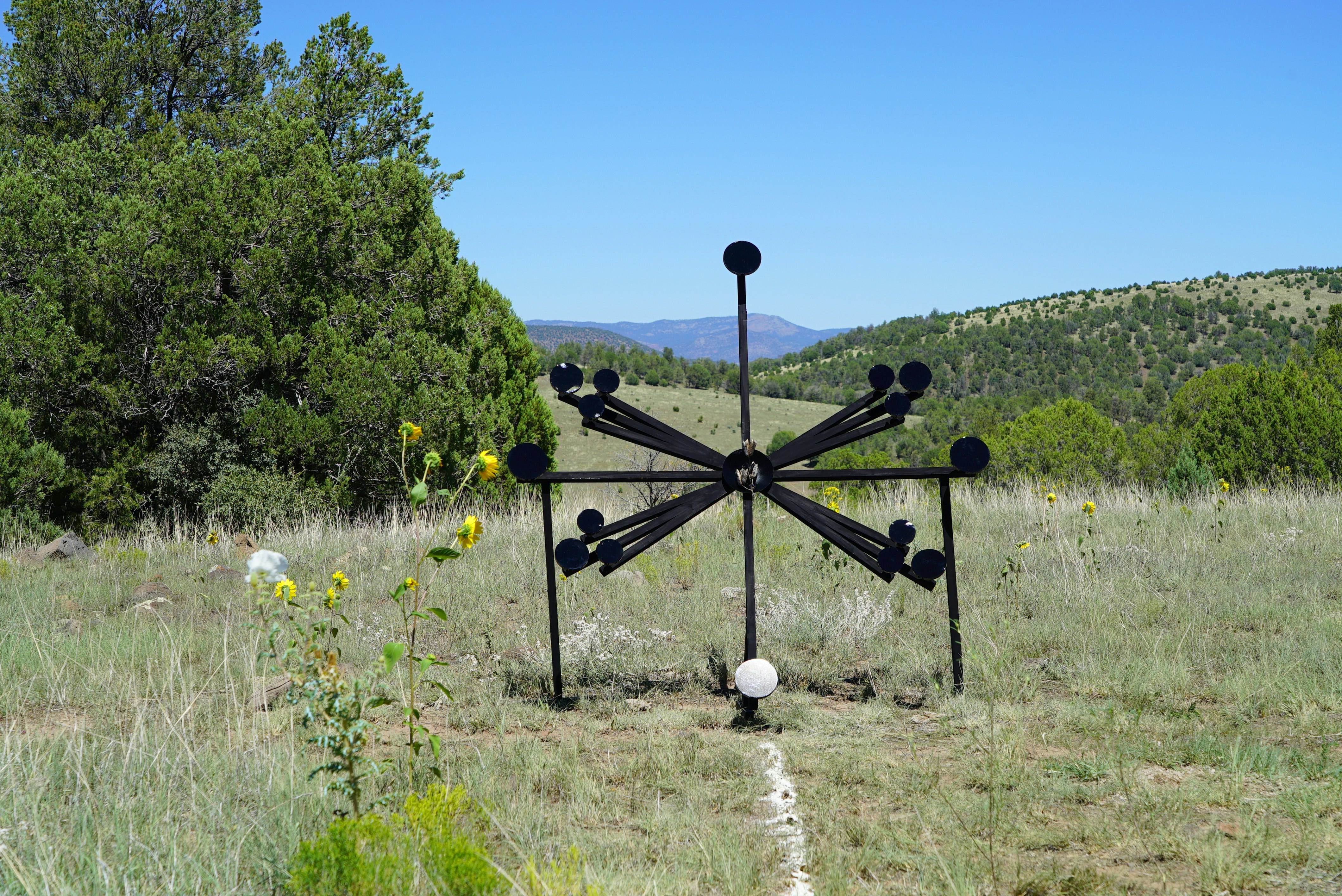 "mutualism integer," 2024. Marcus Zuñiga. Light, obsidian, pine, yukka, corn, earth. Courtesy of the artist. © Marcus Zuñiga.