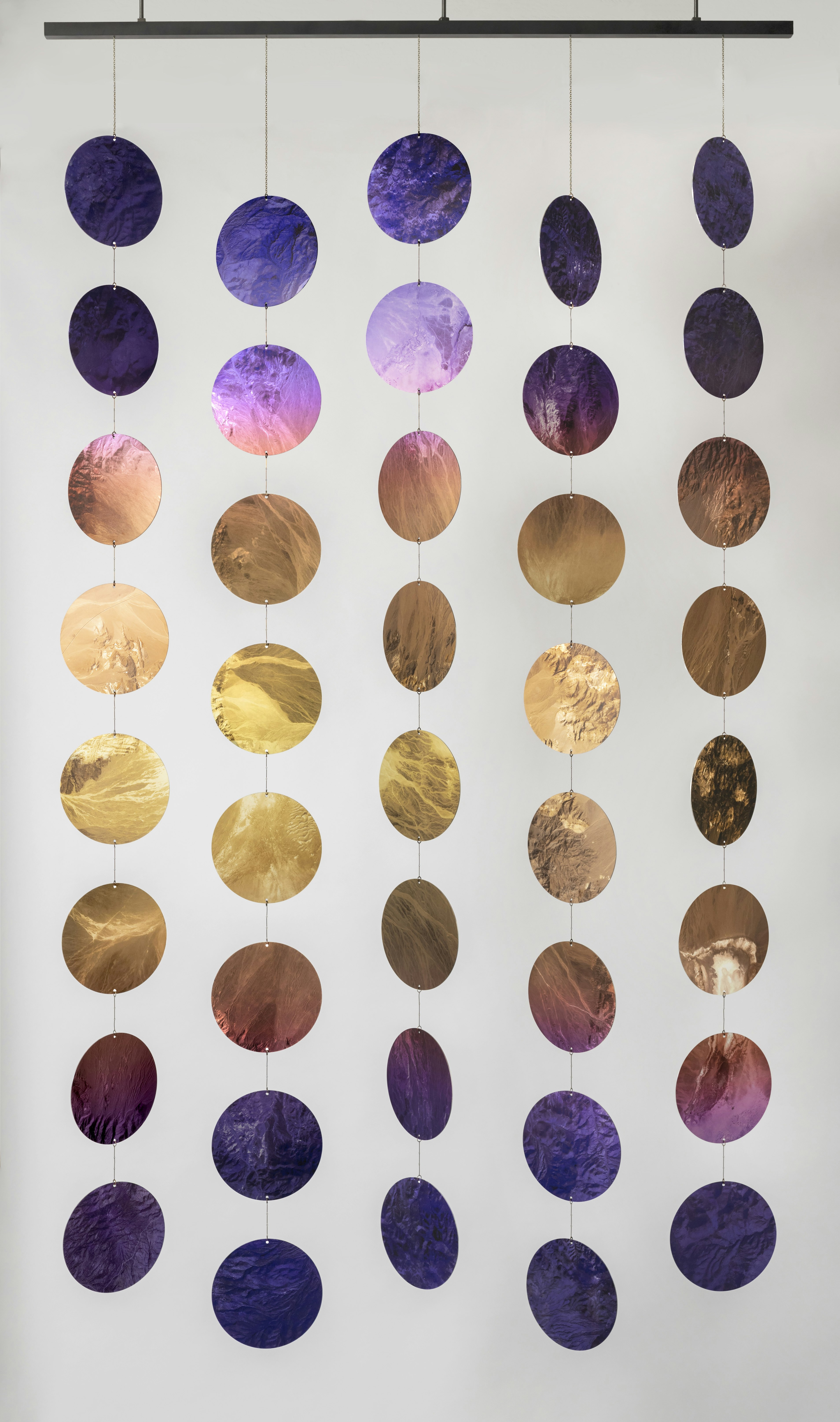 Purple and gold disks hanging vertically from five chains.