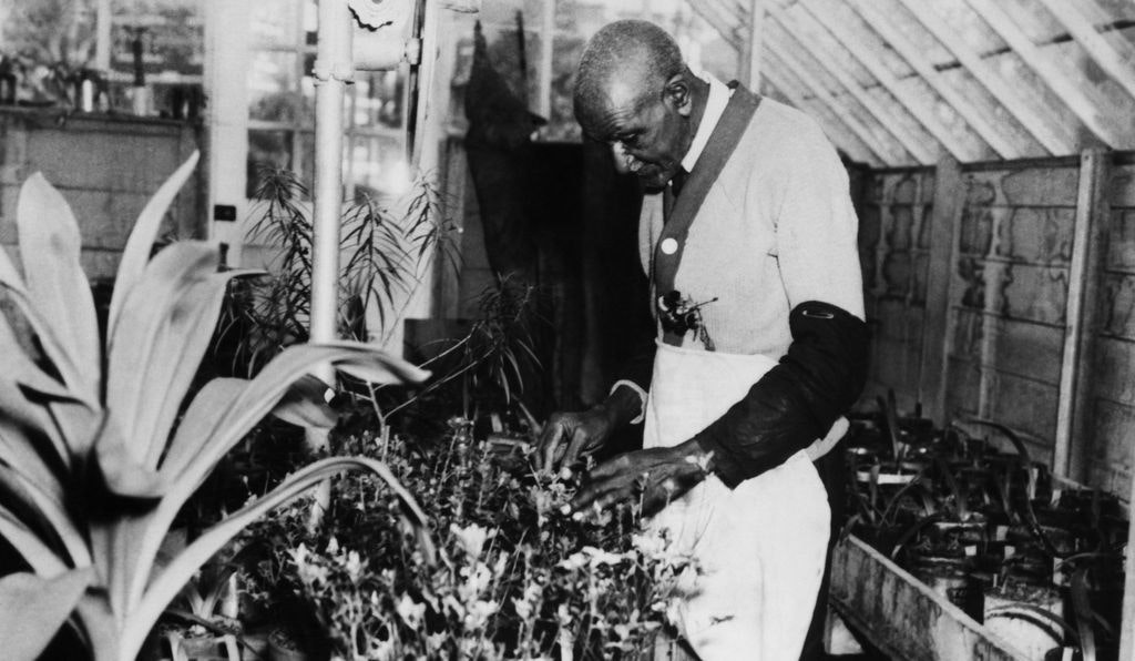 George Washington Carver tending to plants in a greenhouse.
