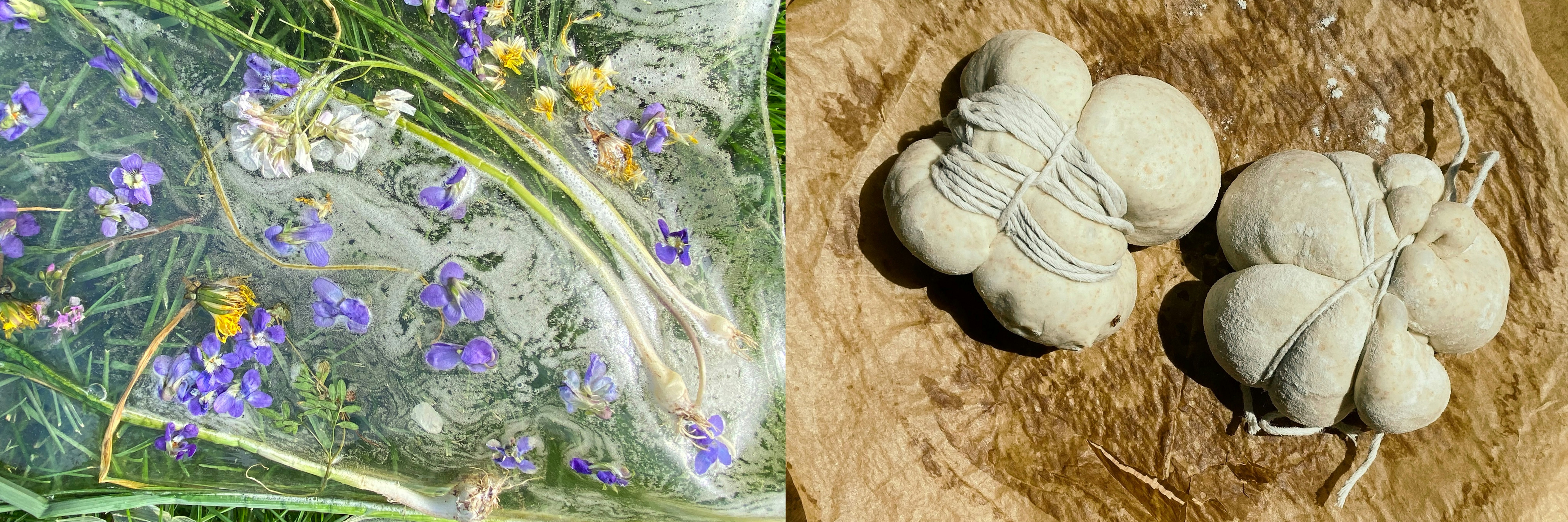 On left: "Untitled (Biomaterial Research)," 2020, Meech Boakye. Roundup contaminated wild violets, wild onions, purple dead nettle and dandelions suspended in gelatin bioplastic. Image courtesy of the artist. © Meech Boakye. On right: "Untitled (Sloppy Bondage Test)," 2021, Meech Boakye. Cherry blossom wild yeast loaves. Image courtesy of the artist. © Meech Boakye.