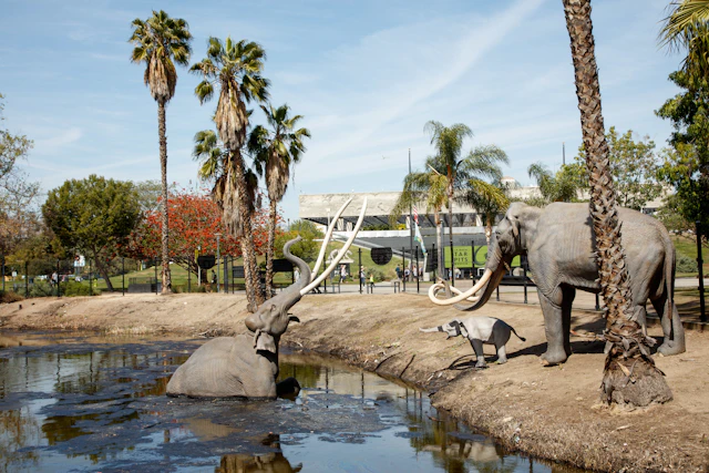The Lake Pit at La Brea Tar Pits. Courtesy of La Brea Tar Pits.