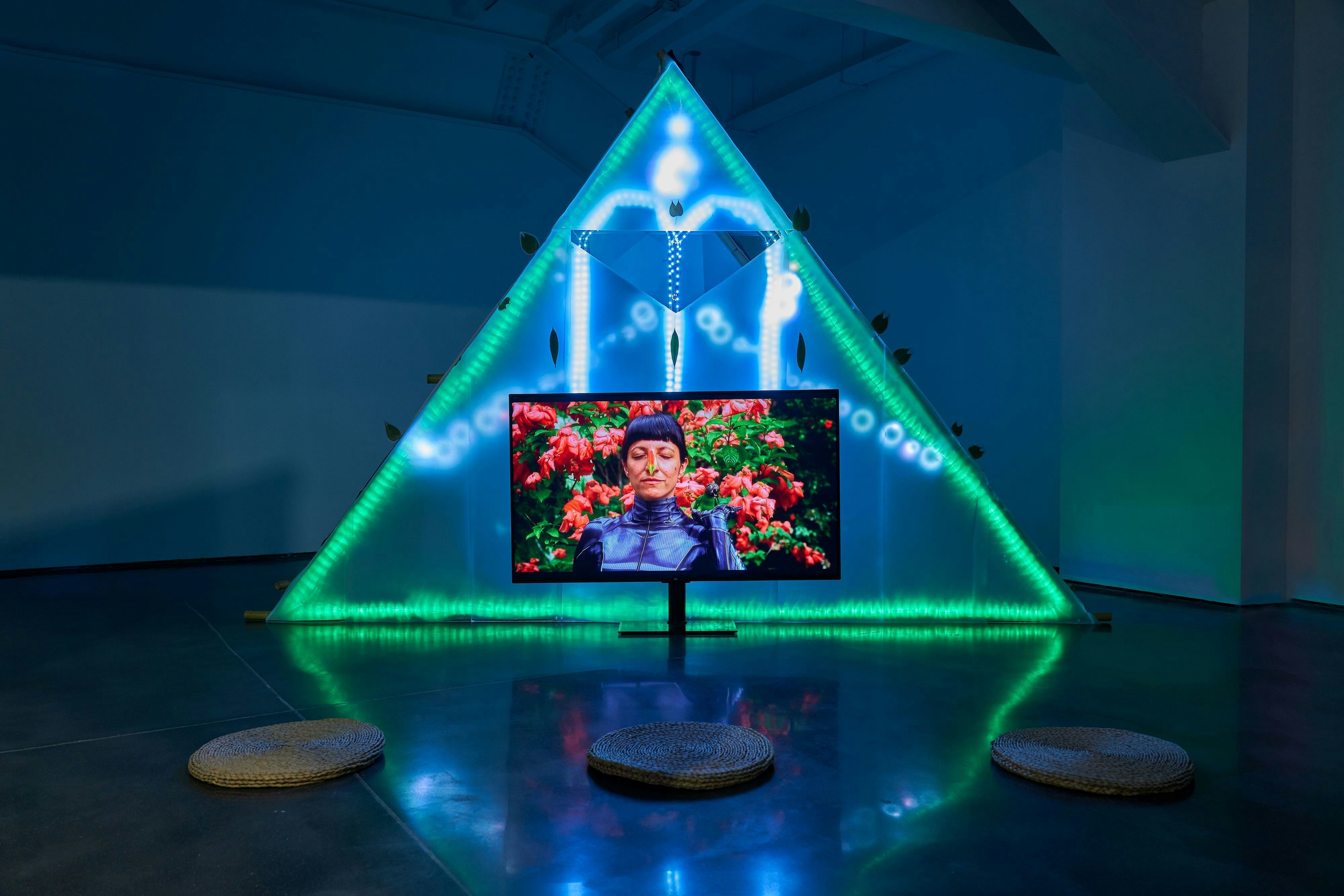 "Matrix Vegetal," 2021/22, Patricia Domínguez. Commissioned by Screen City Biennial and Cecilia Brunson Projects. Installation at Macalline Art Center, Beijing. ©Patricia Domínguez.