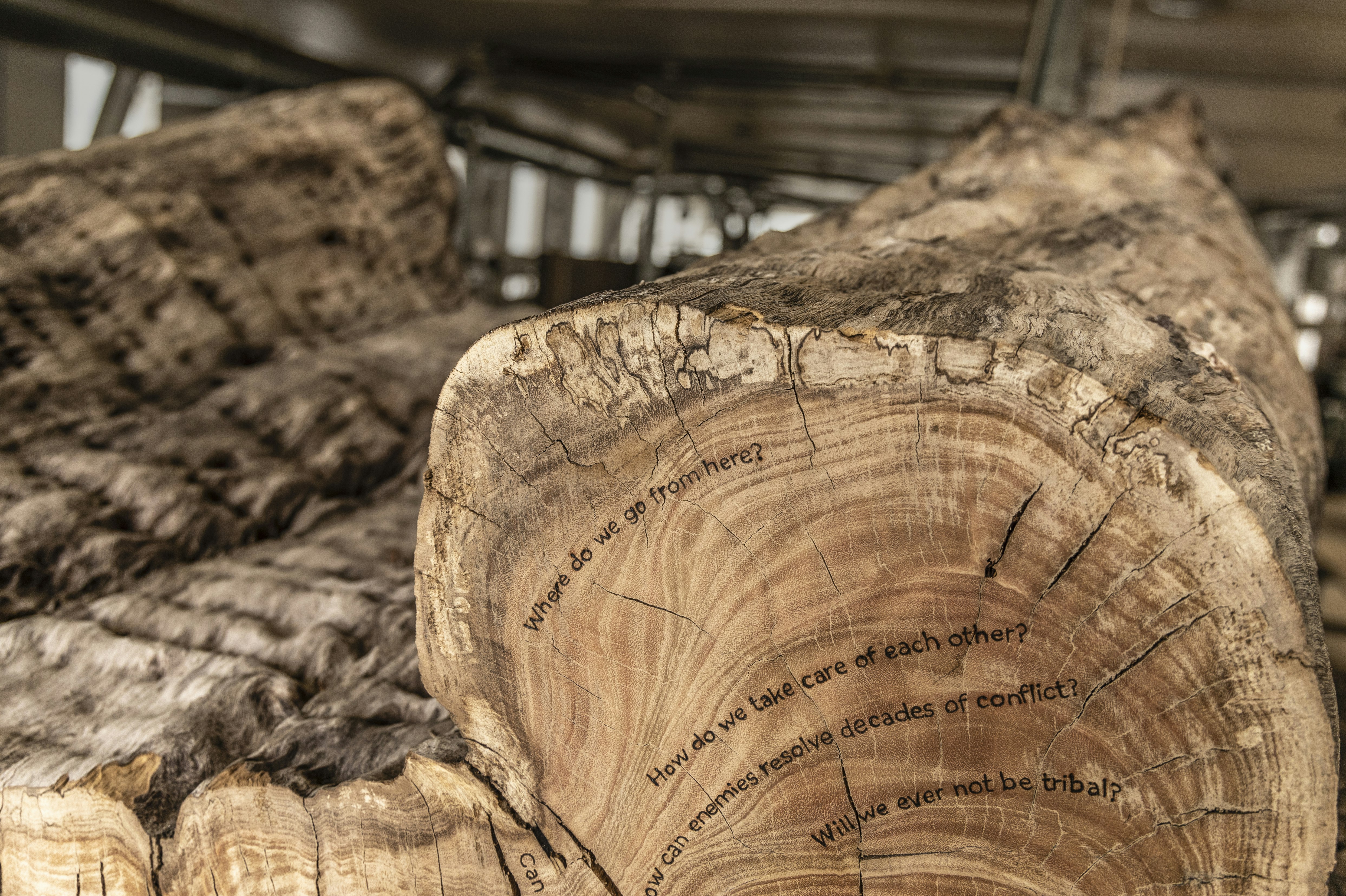 "Tree of Knowledge," 2024, Tiffany Shlain and Ken Goldberg. Reclaimed eucalyptus wood sculpture. Photo: Stefanie Atkinson Schwartz. © Tiffany Shlain and Ken Goldberg.