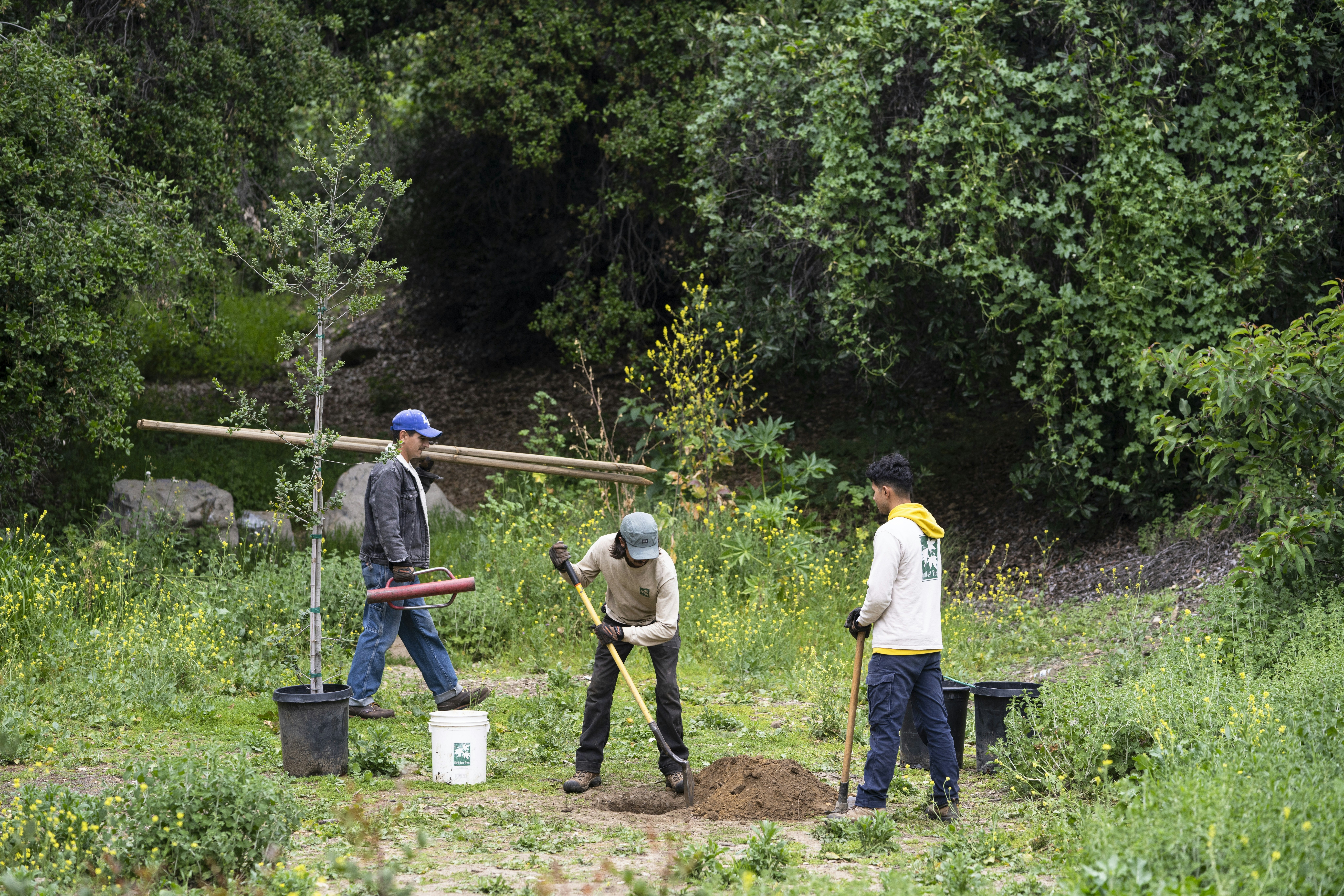 North East Trees planting crew members in Elysian Park, Los Angeles, 2024. Photo by Elon Schoenholz Photography, courtesy of The Broad.