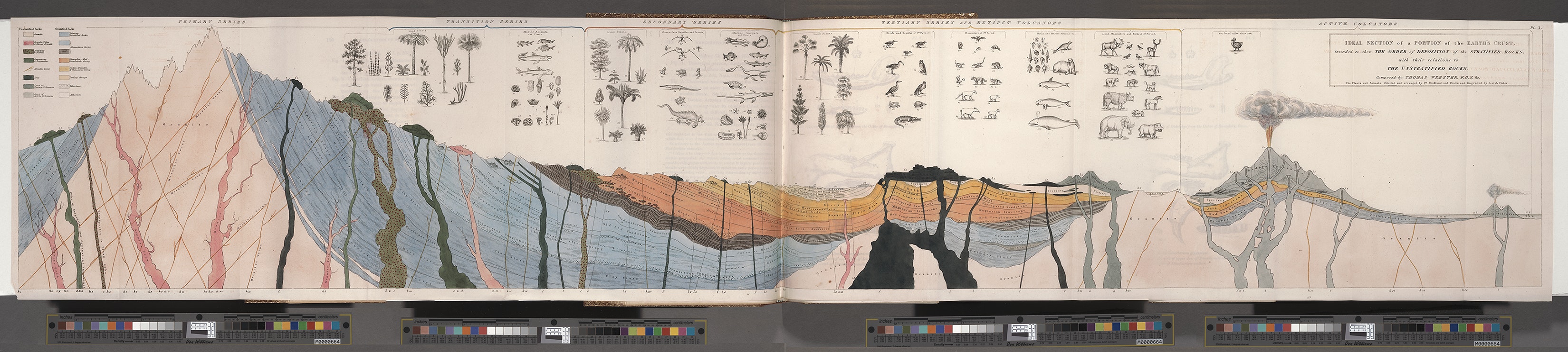 A long horizontal image of a hand-drawn cross-section of the earth's crust.